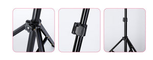 Illuminate Your Beauty with the Live Fill Light 10 Inch 26Cm Ring Beauty Light!