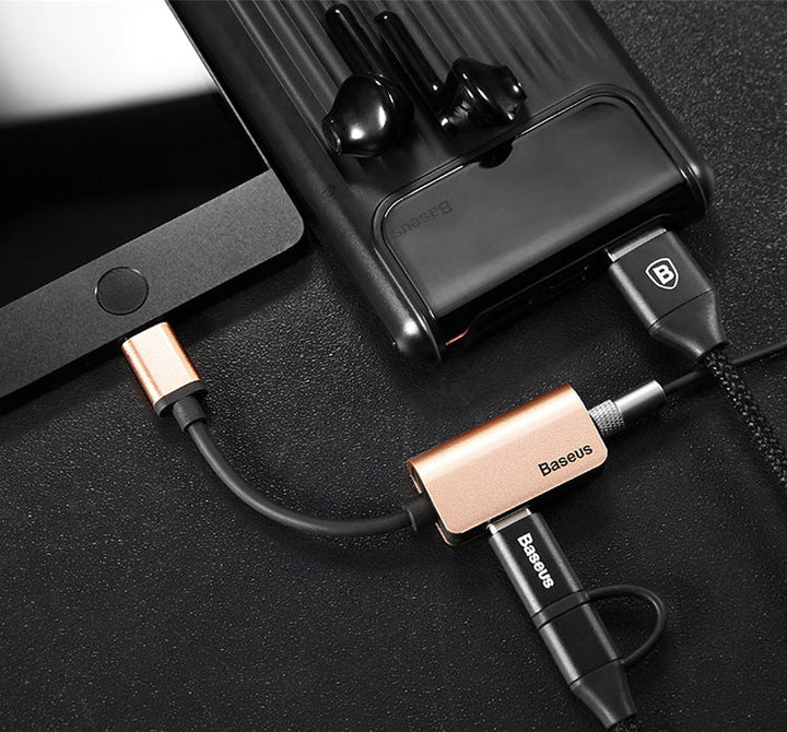 Enhance Your Connectivity with the Type-C Revolution Adapter